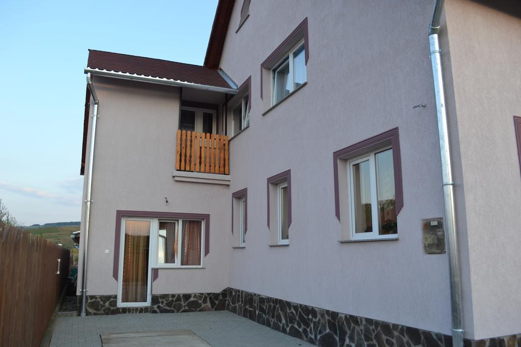 Ersa Panzio Otel Bisericani  Dış mekan fotoğraf