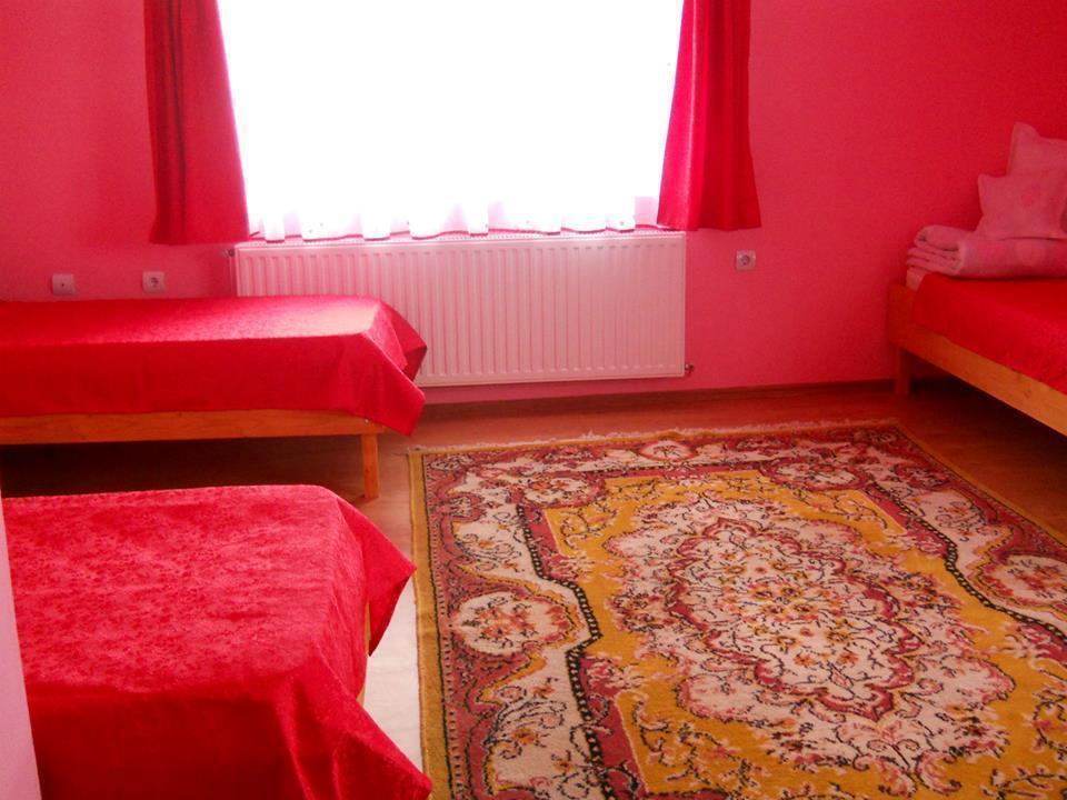 Ersa Panzio Otel Bisericani  Oda fotoğraf