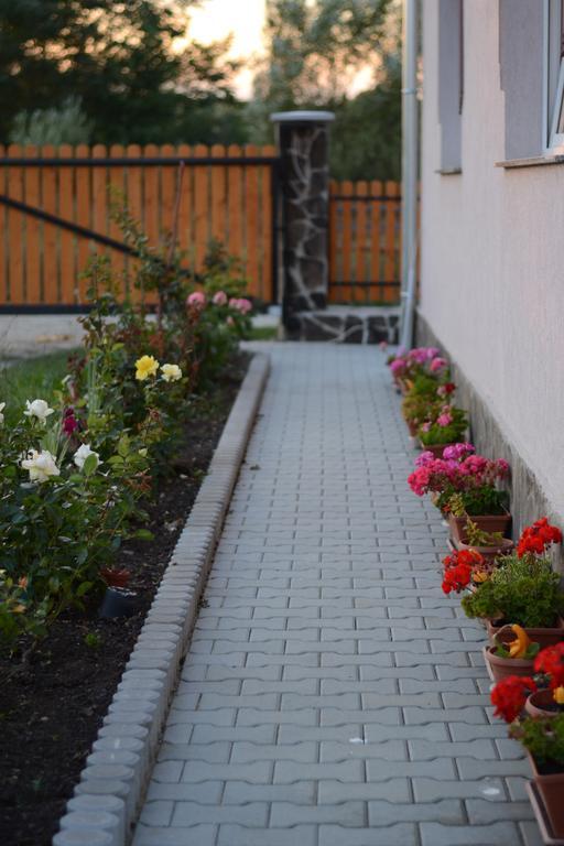 Ersa Panzio Otel Bisericani  Dış mekan fotoğraf