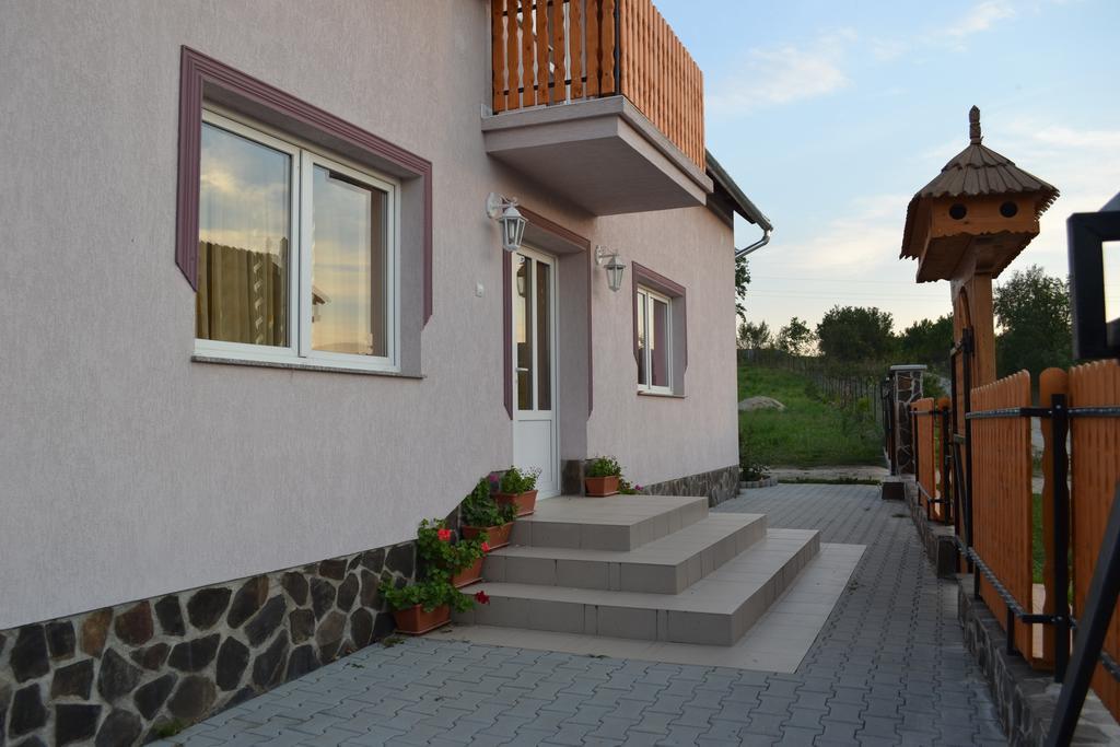 Ersa Panzio Otel Bisericani  Dış mekan fotoğraf