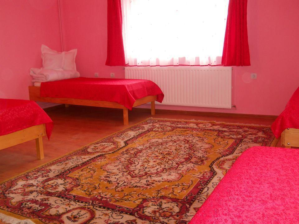 Ersa Panzio Otel Bisericani  Dış mekan fotoğraf